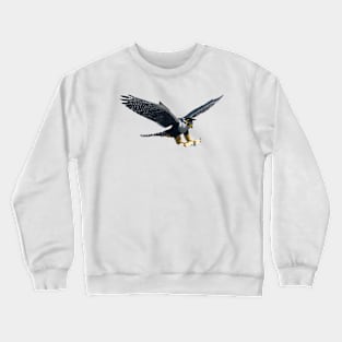 Graduation Falcon Crewneck Sweatshirt